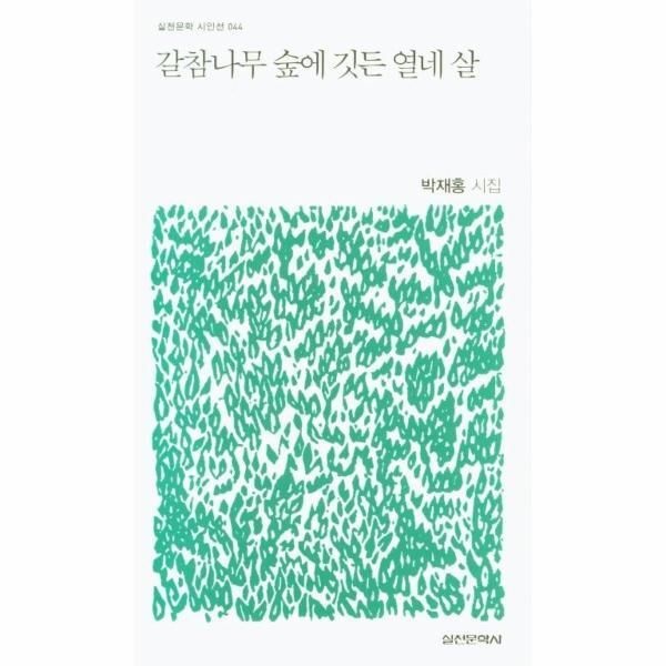 실천문학사 [피오르드] 갈참나무 숲에 깃든 열네 살 - 실천문학 시인선 44
