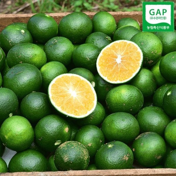 감귤 제주 청귤 풋귤 실속 가정용 GAP인증 10kg