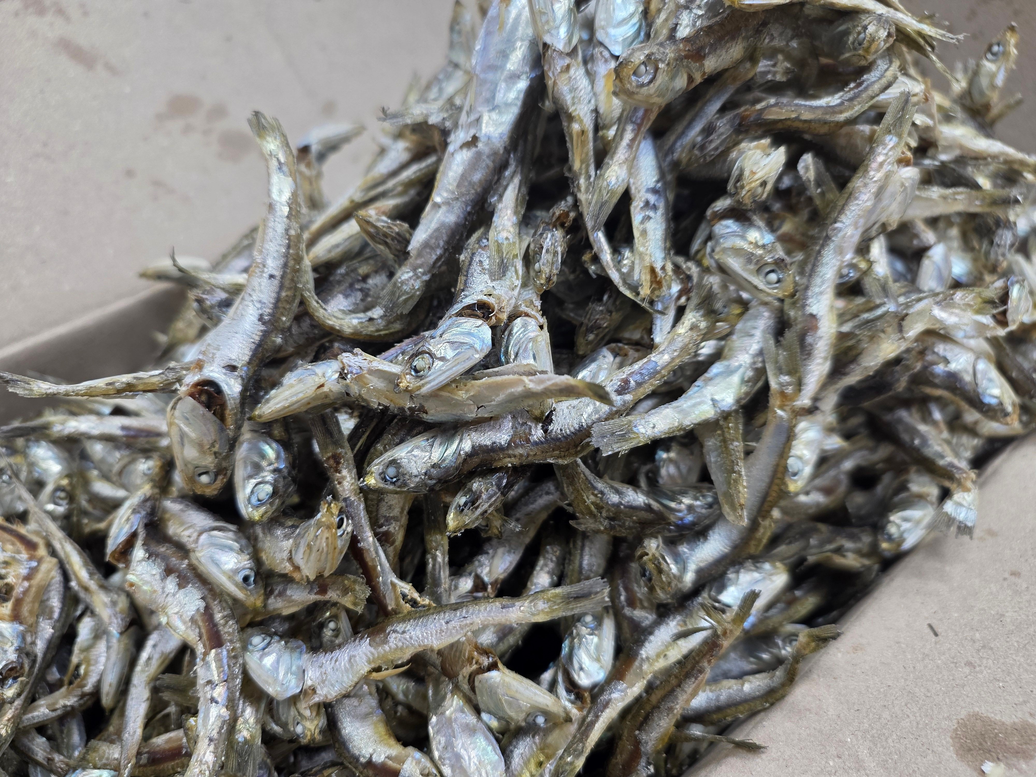 [최종가 9,320원] 남해안 햇 멸치 다시용멸치(1.5kg1박스)