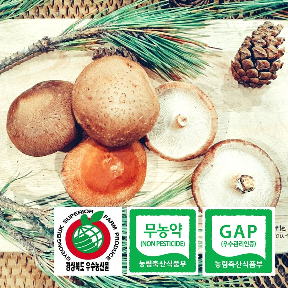 [산지직송] 국내산 생표고버섯 안동 하회 참표고버섯 1kg