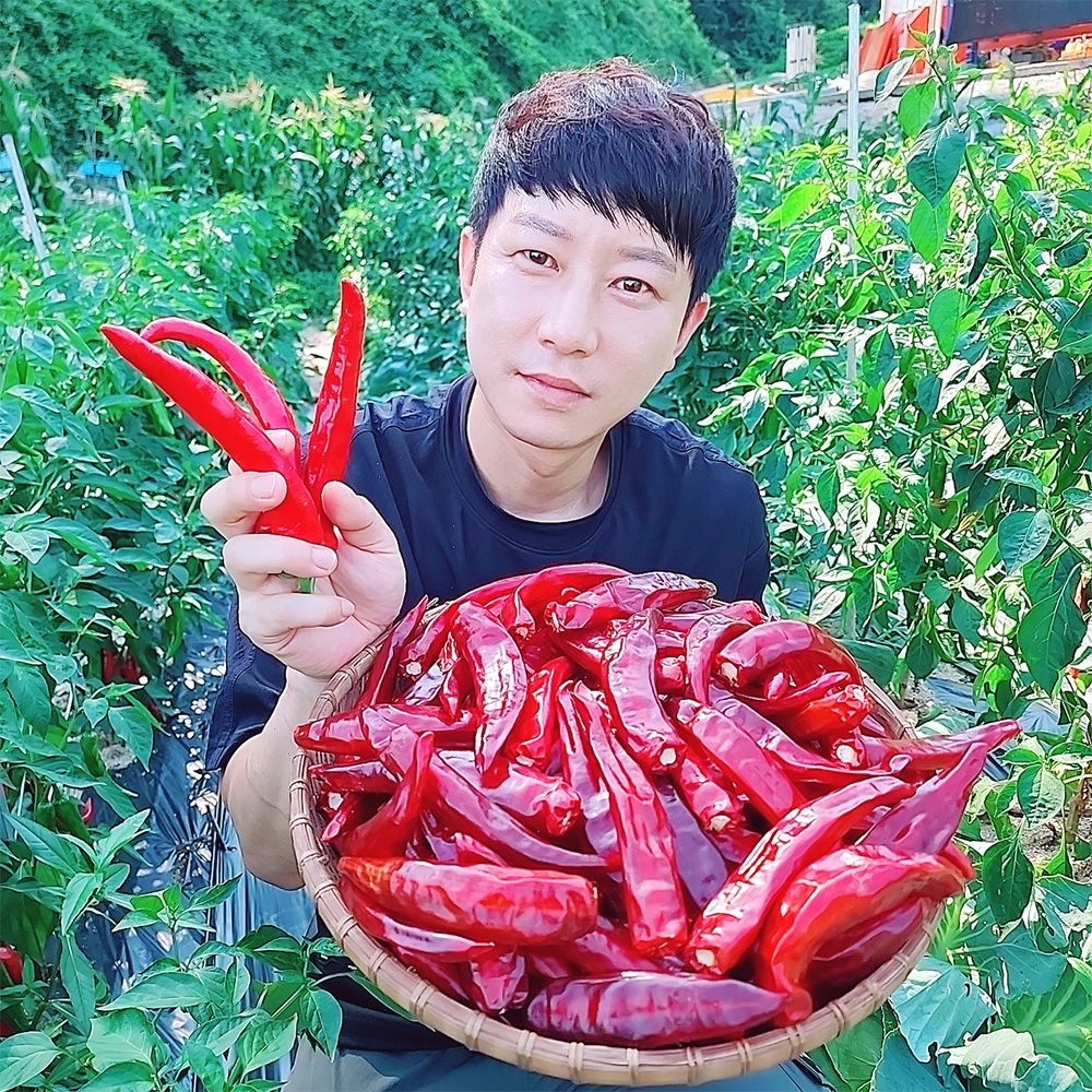 [26년 햇] 건고추 국내산 세척 건고추 1근(600g) 순한맛/보통맛/매운맛