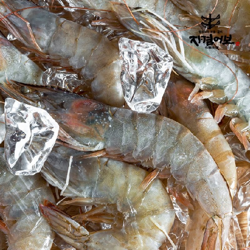 맛있는날 국산 자연산 대하(암새우) /1kg 14~17미/국산
