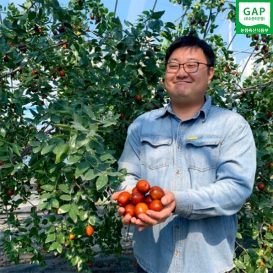 산지직송 gap인증 일년한달,경산 사과대추 500g14614663588725