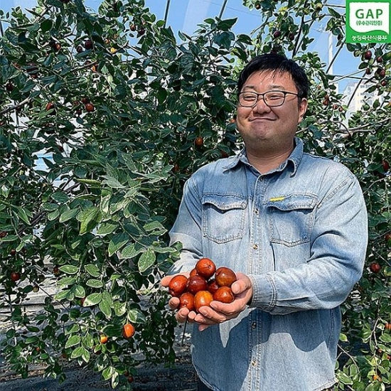 농약없는 GAP인증 경산 말린사과대추 (250g)23053390588725