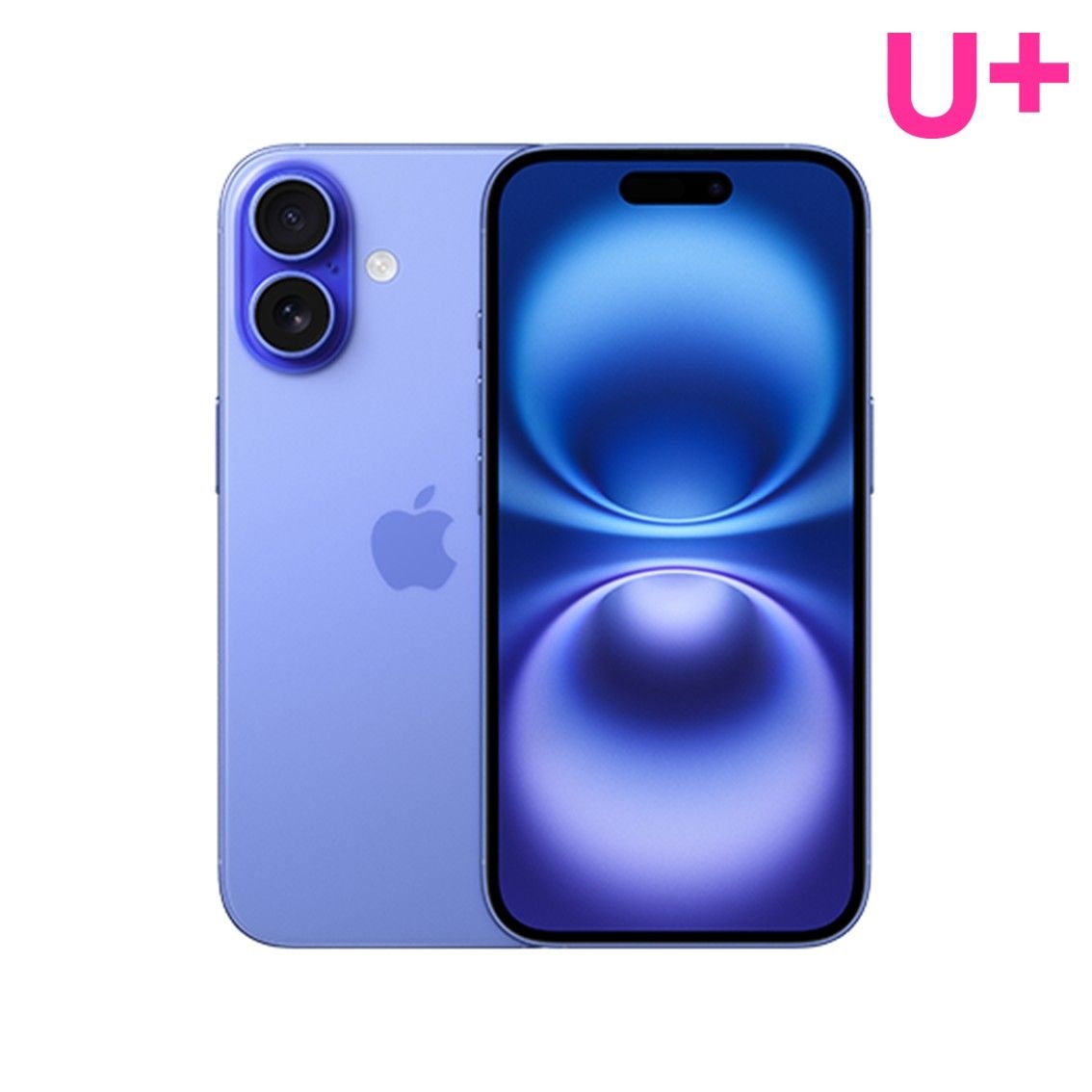 Apple 아이폰16 256GB / LGU+번호이동/공통지원/현금완납