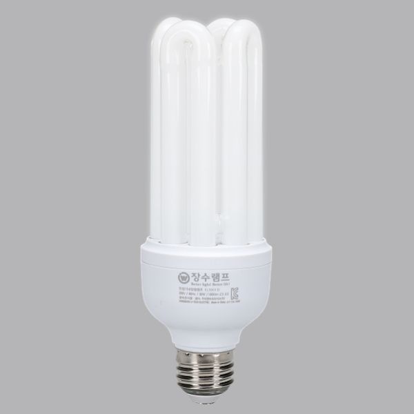 삼파장 EL 램프 30W E26 주광 안정기 내장형