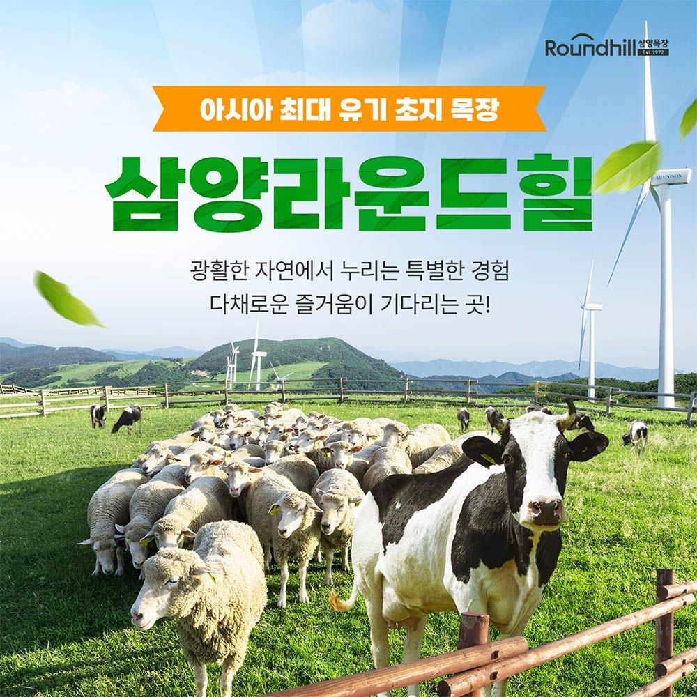 삼양 라운드힐 [슈퍼트립] 강원 평창 대관령 삼양 라운드힐 이용권 프로모션, 이용기간 최대 10월 31일까지, 주중&주말 공통혜택