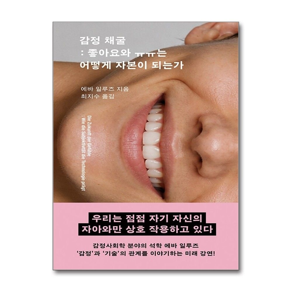 돌베개 감정 채굴 에바 일루즈 좋아요와 ㅠㅠ 책 돌베개(2382829)