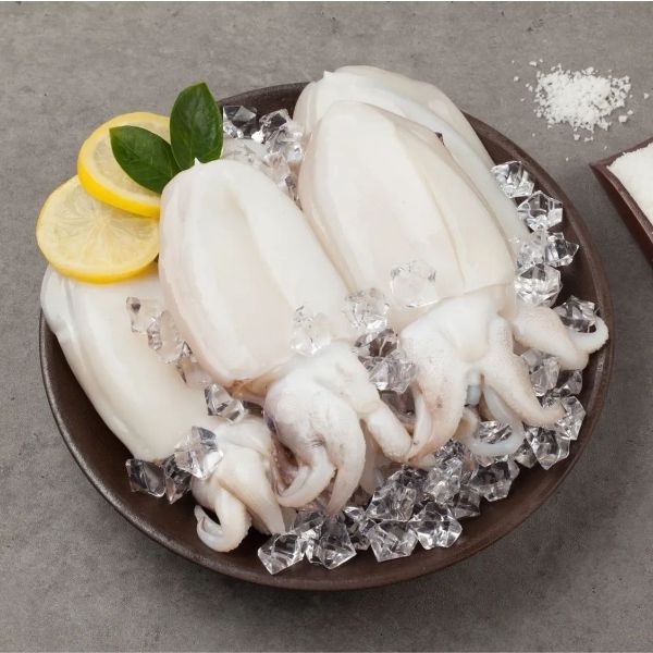 손질 갑오징어 소 1kg 20미 내외