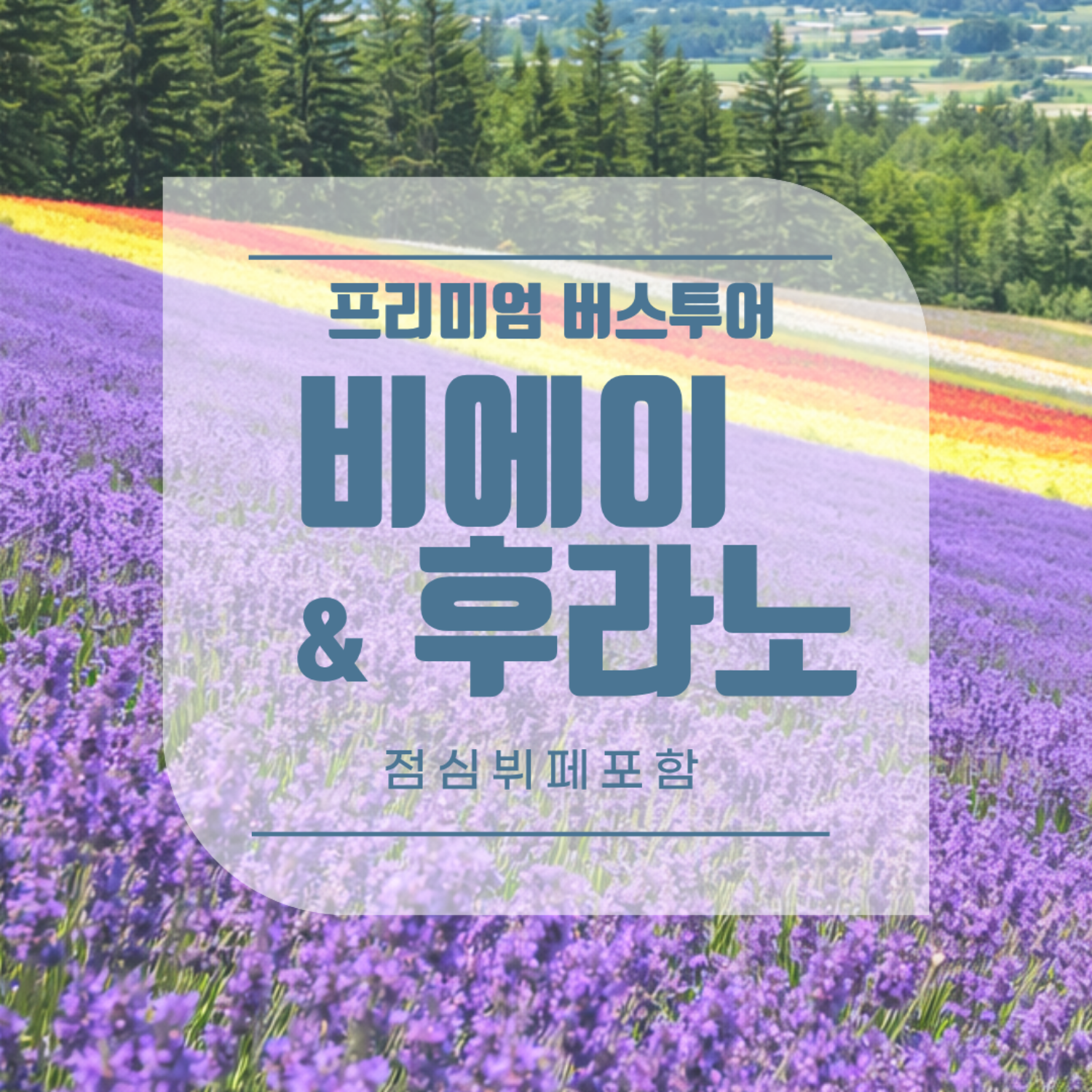 [북해도] 삿포로 비에이후라노 프리미엄 1일 버스투어 (점심뷔페포함)