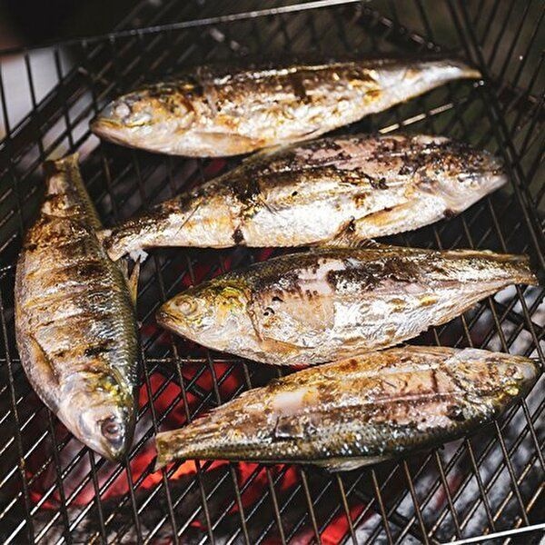 [산해직송]자연산 전어 구이용 500g 가을 급냉 구이