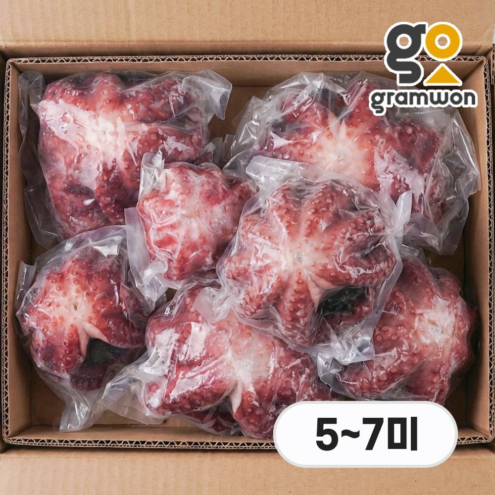 그램원 자숙문어 돌문어 10kg 6미(5~7미 내외) 냉동 숙회 제수용 왕문어 필리핀