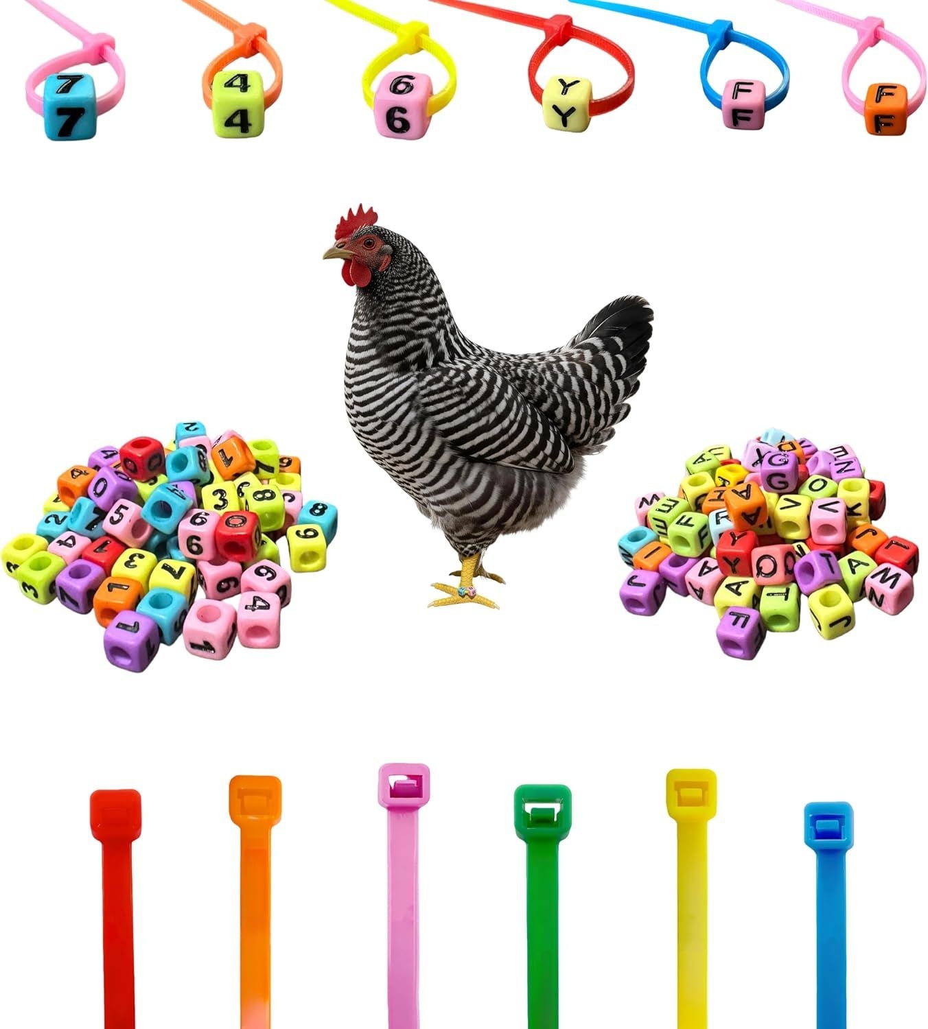 ARMLCL 생동감 있는 DIY 숫자 및 문자 병아리 다리 밴드 - 다채로운 밴드로 가금류를 쉽게 식별하고 관리하세요 닭,