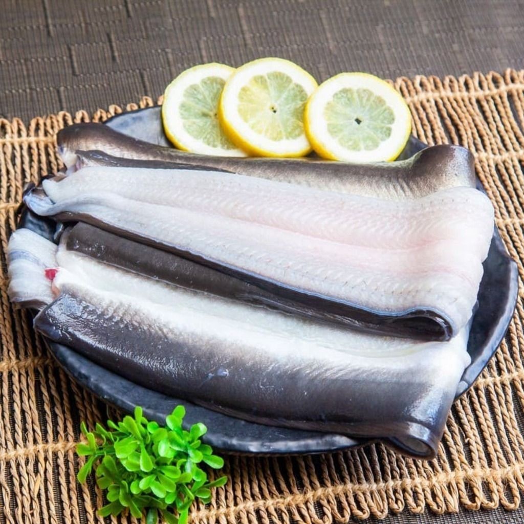 국내산 자포니카 민물장어 2kg 손질후 1.4kg 내외 풍천장어 4-8미