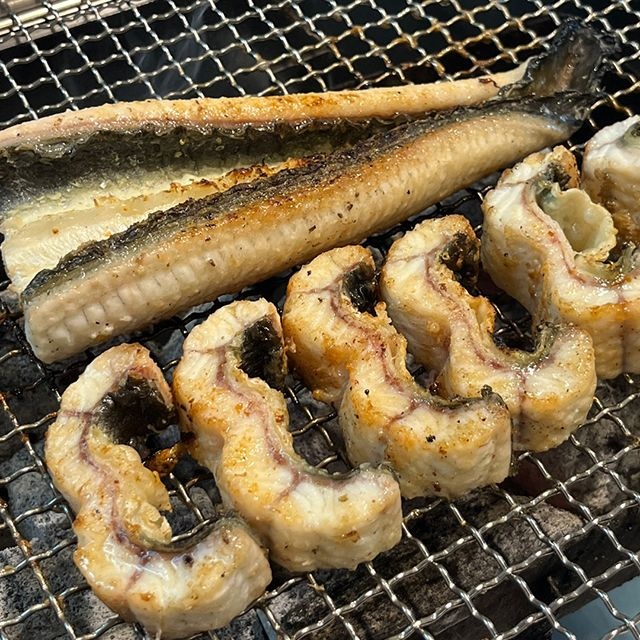자포니카 장어 국내산 고창 민물장어 1kg 손질 후 700g
