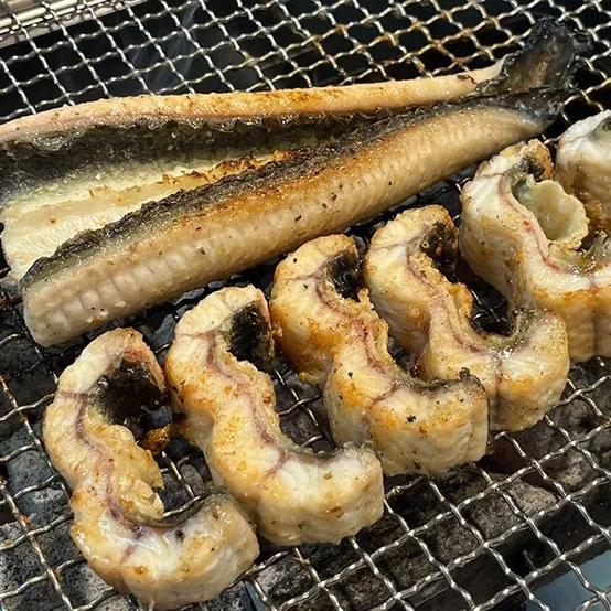자포니카 장어 국내산 고창 민물장어 1kg 손질 후 700g 대왕 장어