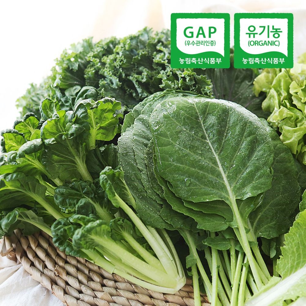 [온누리상품] 친환경팔도 충주 유기농 쌈채소 600g