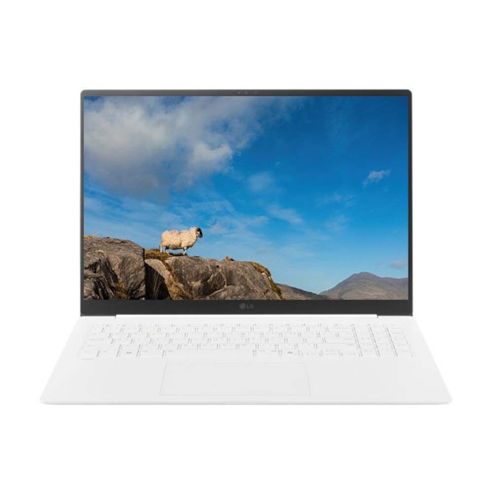 LG전자 LG그램 프로 16ZD90TP-GX56K