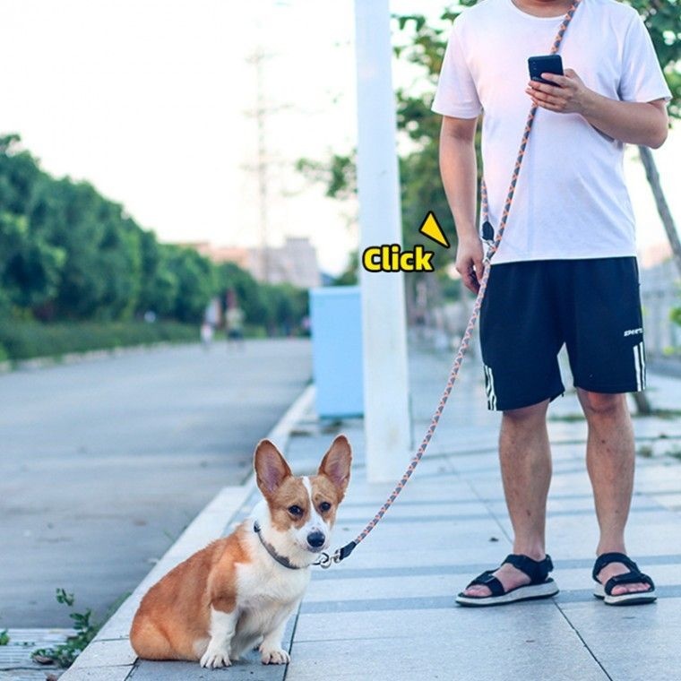 핸즈프리 강아지 리드줄 2.6M M(10mm-17KG 이하) 그레이오렌지