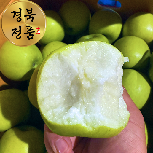 [재구매1위] 경북 아오리 사과 정품 2kg 5kg 10kg