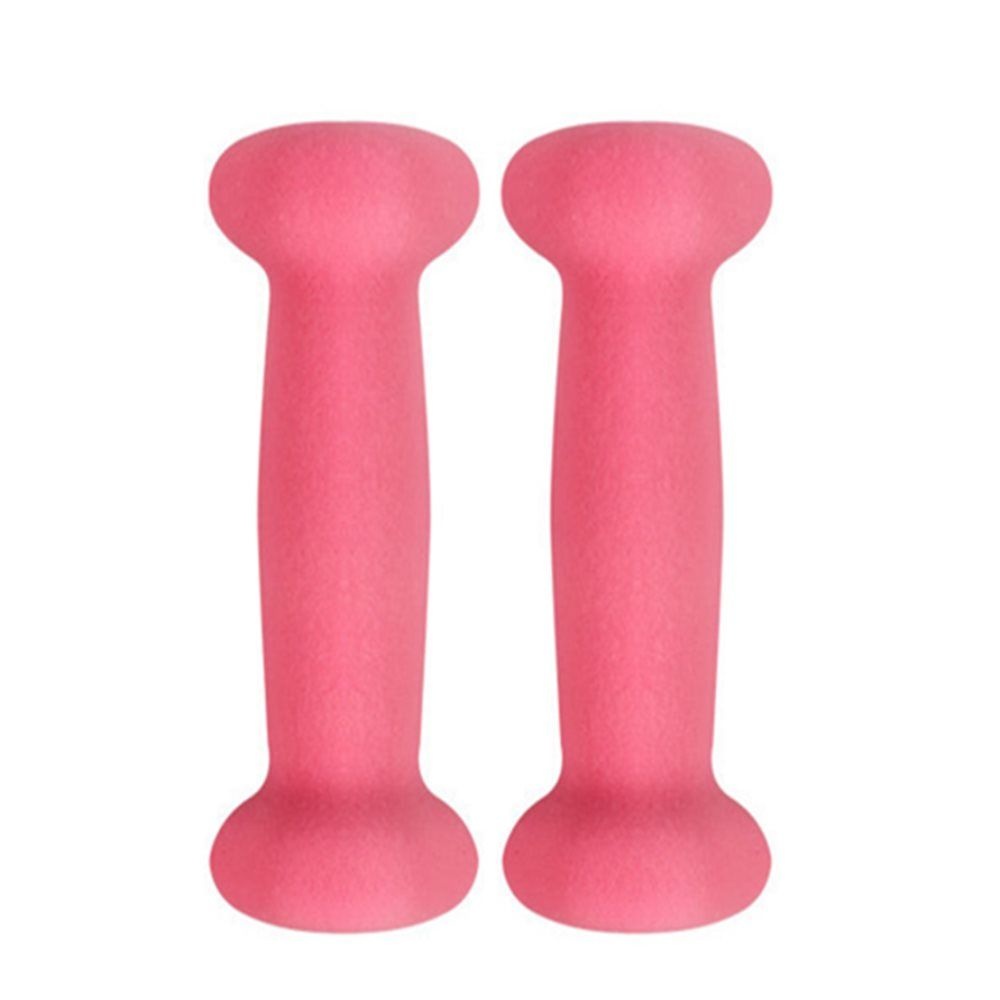 아령 1.5KG X 2개 핑크 홈트덤벨 홈트용덤벨
