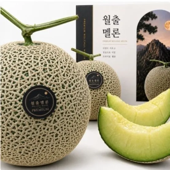  영암 산지직송 프리미엄 머스크메론 특품 2수/4수 