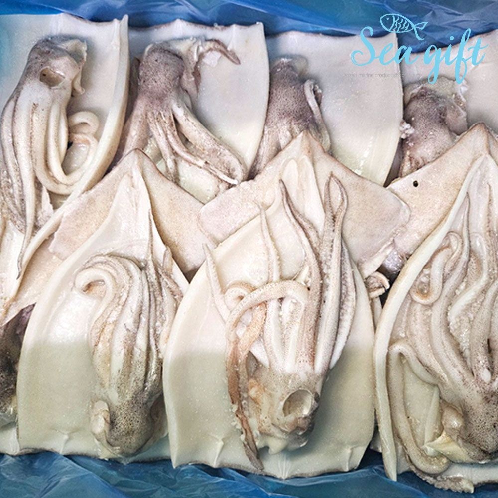 [씨기프트] 할복오징어 4kg 20미내외 벌크 손질 냉동 오징어 업소용
