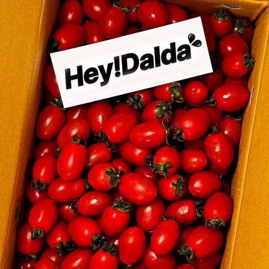 {백화점 상품} 대추 방울토마토 5kg(3-4번) 489410