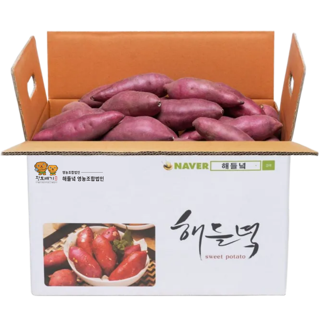 생산자직배송/ 26년도 해들녘 무농약 고창황토고구마 10kg (쫄 식당용)