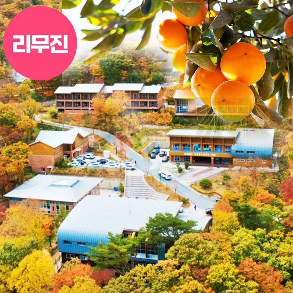 로망스투어 [리무진,상품권1만원제공,청도감체험,숲체원숙박] 청도 시티투어 1박2일