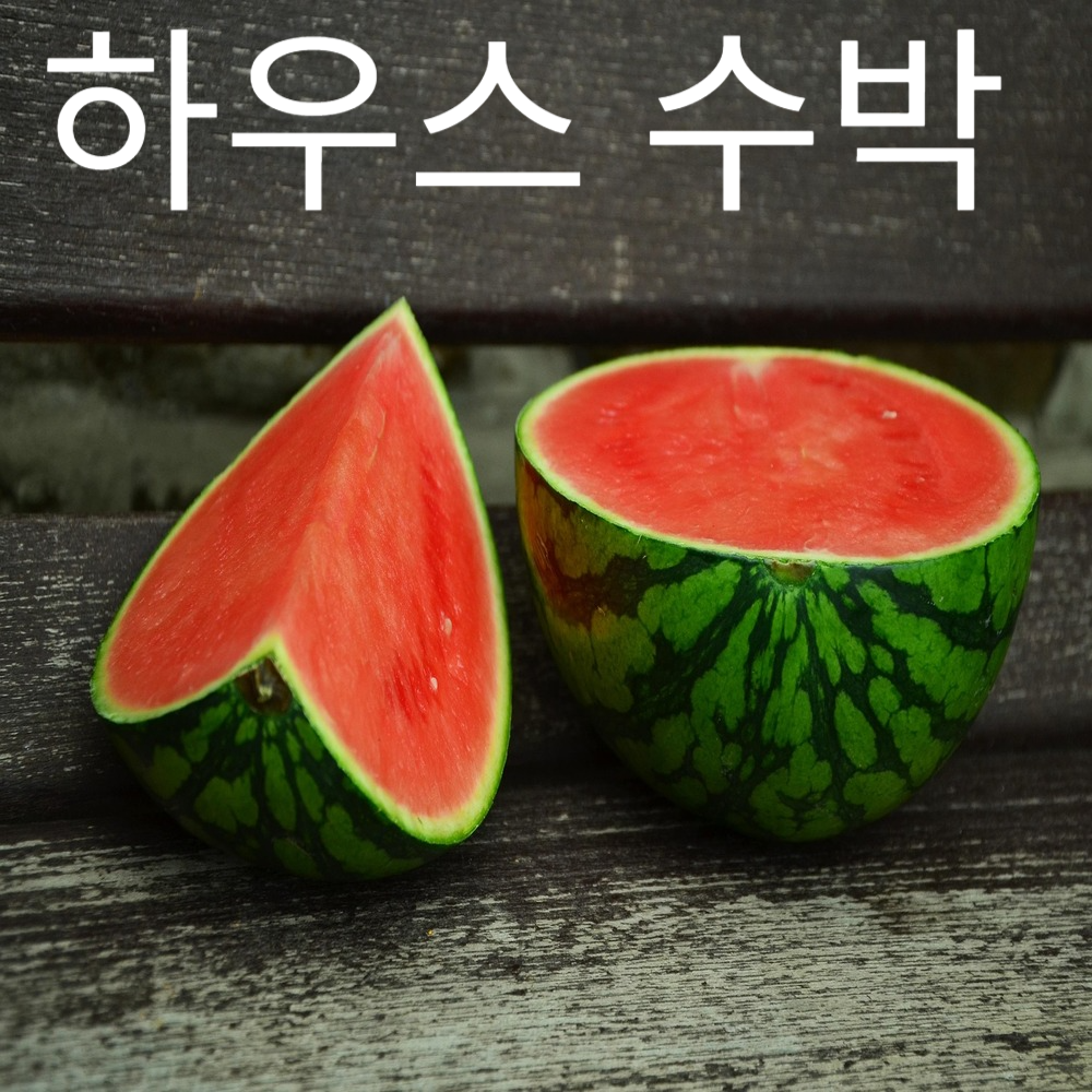 [국내산] 고당도 정품 하우스 수박 8-9kg 내외 시원함과 달콤한 과즙의 향기(당일수확/산지직송)