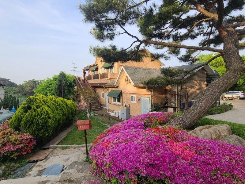 인천(무의도) 상수리나무아래펜션