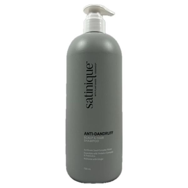 암웨이 새티니크 안티 댄드러프 스캘프 앤 헤어 샴푸750ml