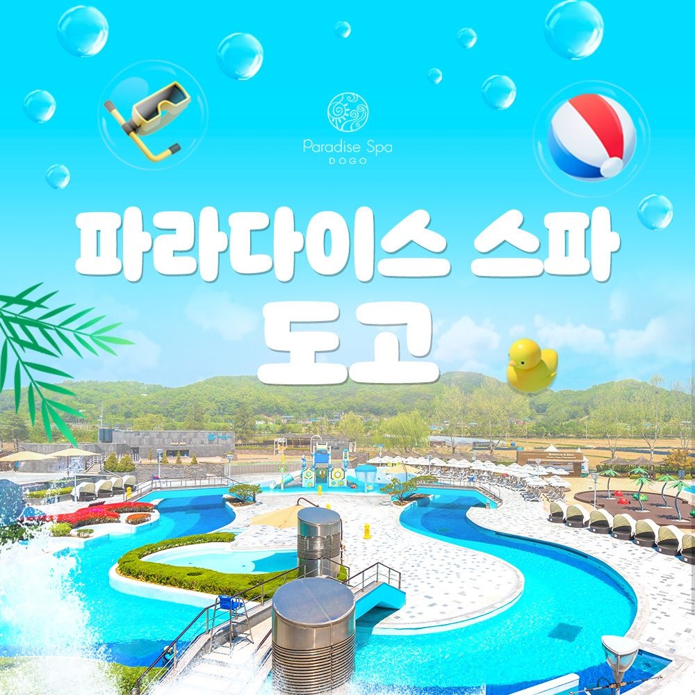 파라다이스 스파 도고 [충남] 파라다이스 스파 도고 골드시즌 입장권/패키지/오후권, 이용기간 8/18~8/31 까지