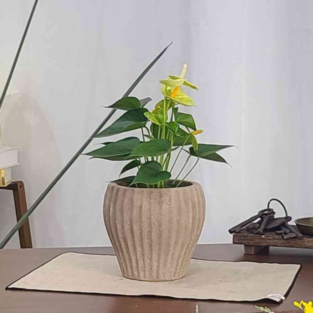 늘넷 아쿠아 토분 HN30412 13X16CM 엘도르 베트남화분 수입토분