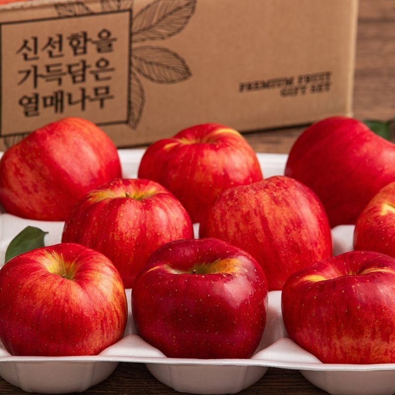 열매나무 햇 거창 못난이 홍로사과 2.5kg+2.5kg