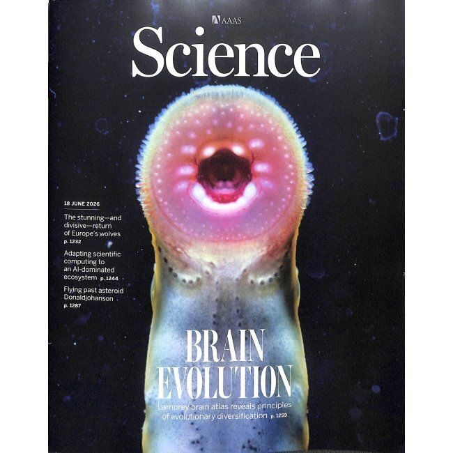 Science (주간) 2026년 06월 18일