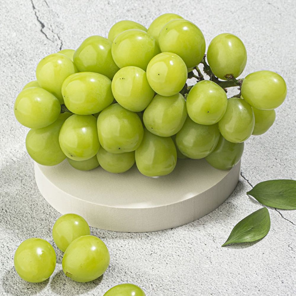[농할30%쿠폰][농할국내산]산지직배송 샤인머스켓 500g/1kg/1.5kg/2kg 외 (샤인머스켓 500g (1수))