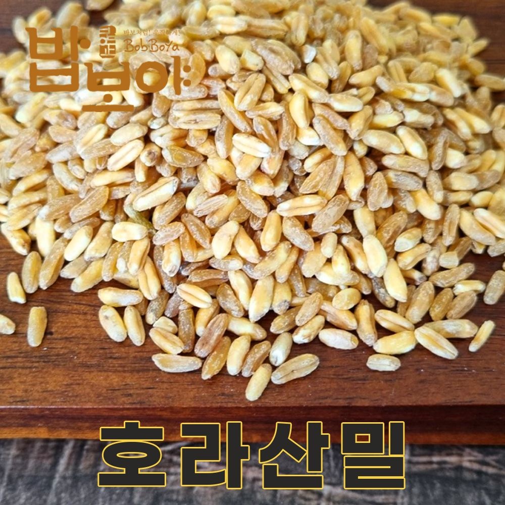 밥보야 전남 무안 26년산 국산 햇 호라산밀 2kg 카무트 카무트쌀