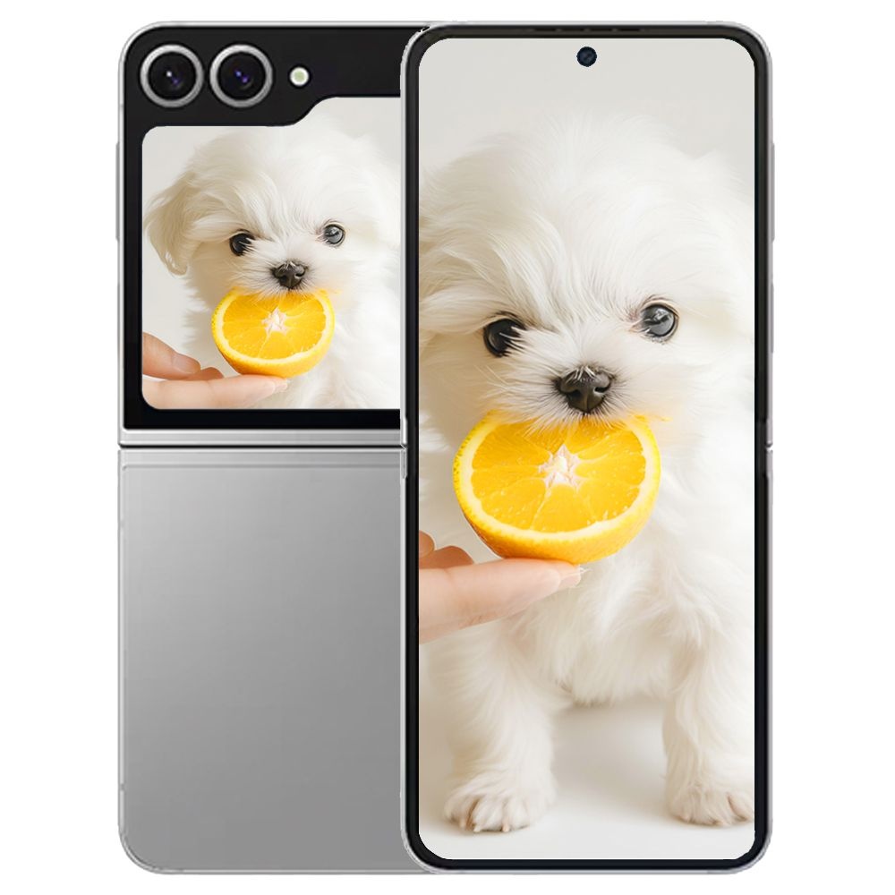 갤럭시 삼성 Z플립6 512GB SK 기기변경 미개봉 Galaxy Z Flip6