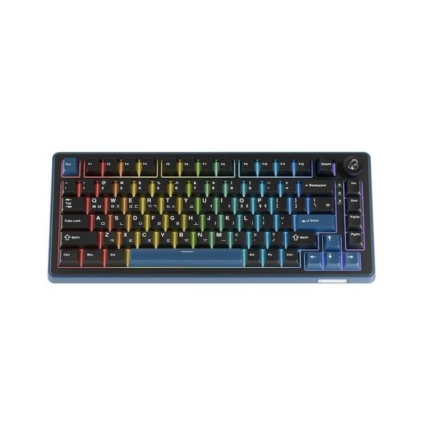 Ducky 유 무선 블루투스 기계식 키보드 OK-M 75KE 텐키리스 Red Wine축 4173488