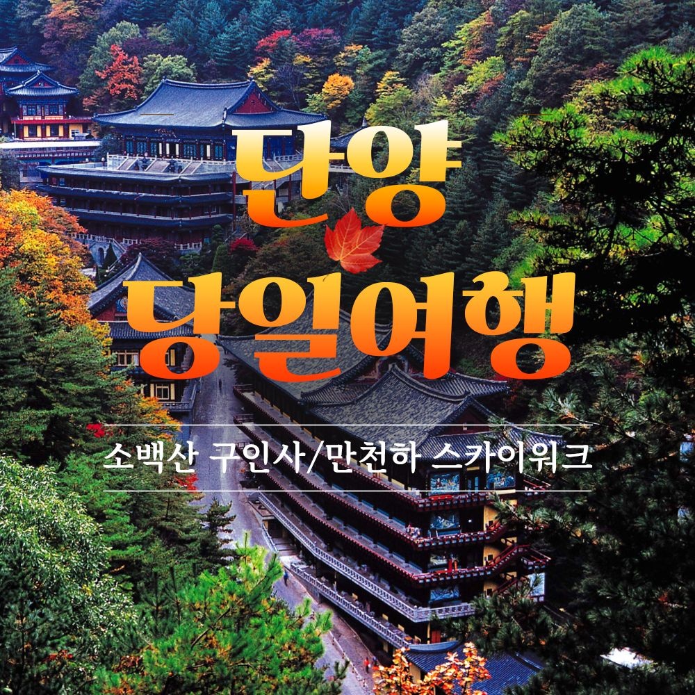 테마캠프 [당일여행] 단양 소백산 구인사, 만천하스카이워크, 단양강 잔도, 도담삼봉