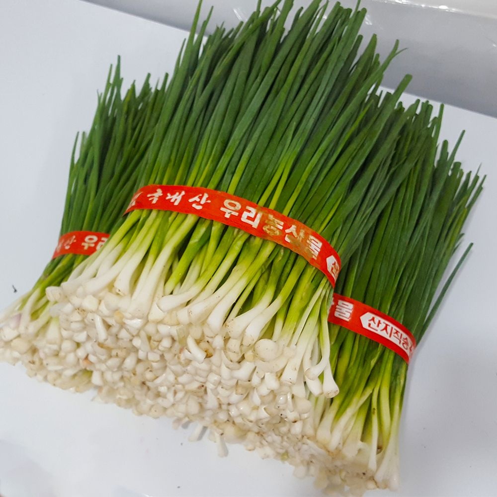 국내산 깐쪽파 제주쪽파 흙쪽파 쪽파 1단 약800g~1kg