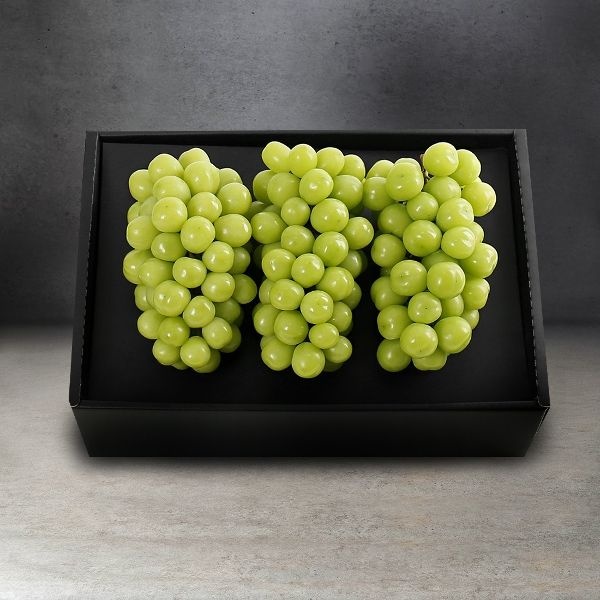 명절명작 샤인머스켓 선물세트 2kg (2-3송이/에어포장)