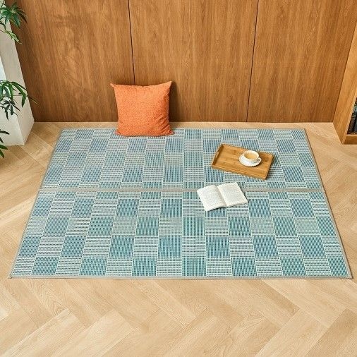 폭신한 대자리 블루 패턴 150x200_CB4126008