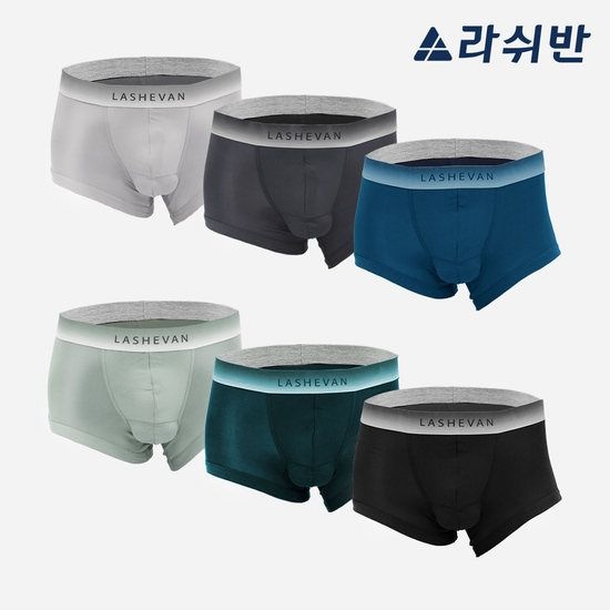 [라쉬반 프리미엄] 셀루켓 무브프리 6종