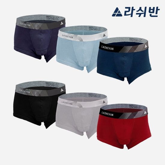 [라쉬반 프리미엄] 리치셀 더블듀오 6종