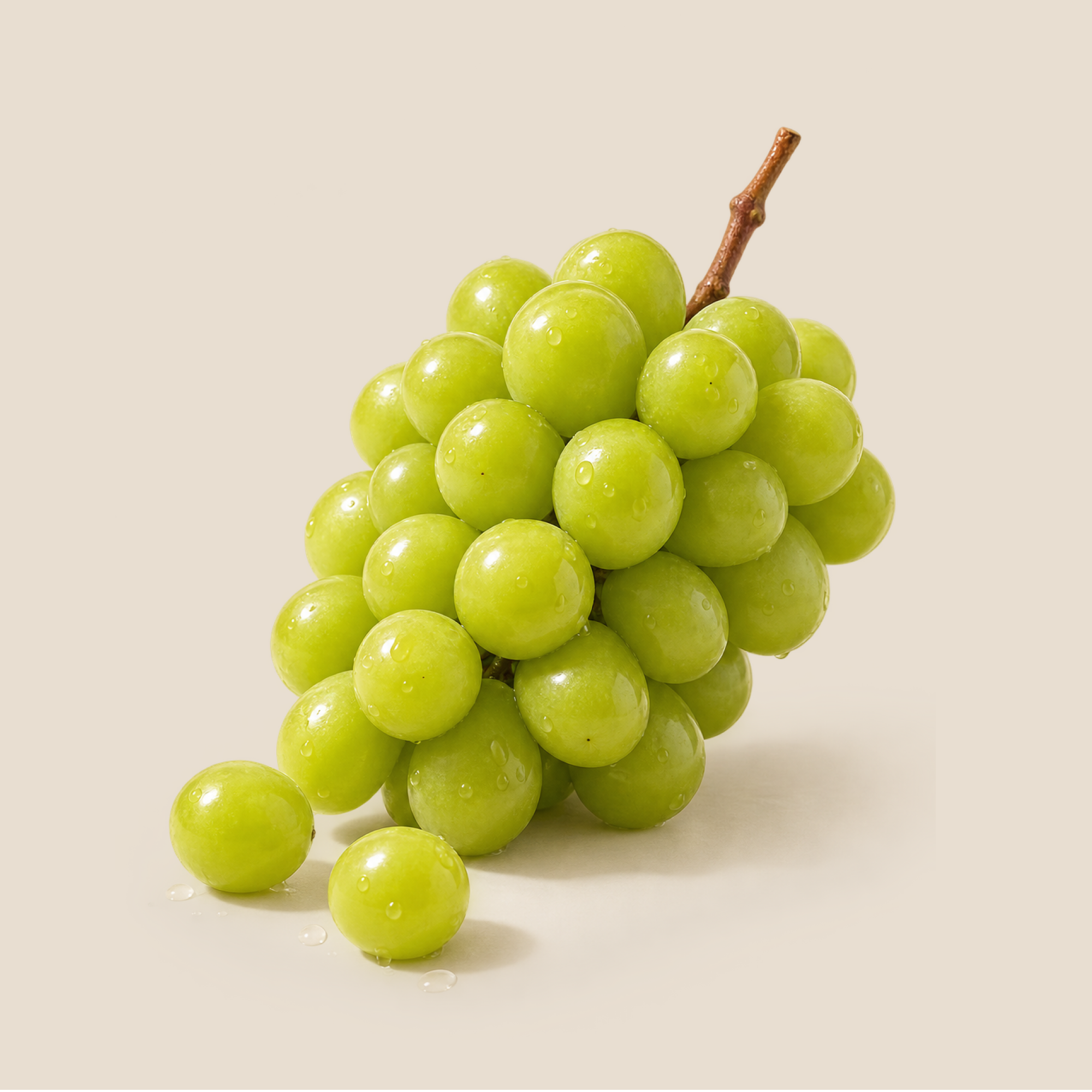[롯데온]팜모닝 실속형 경북 샤인머스켓 2kg (4~5수) (14,390원/무료)