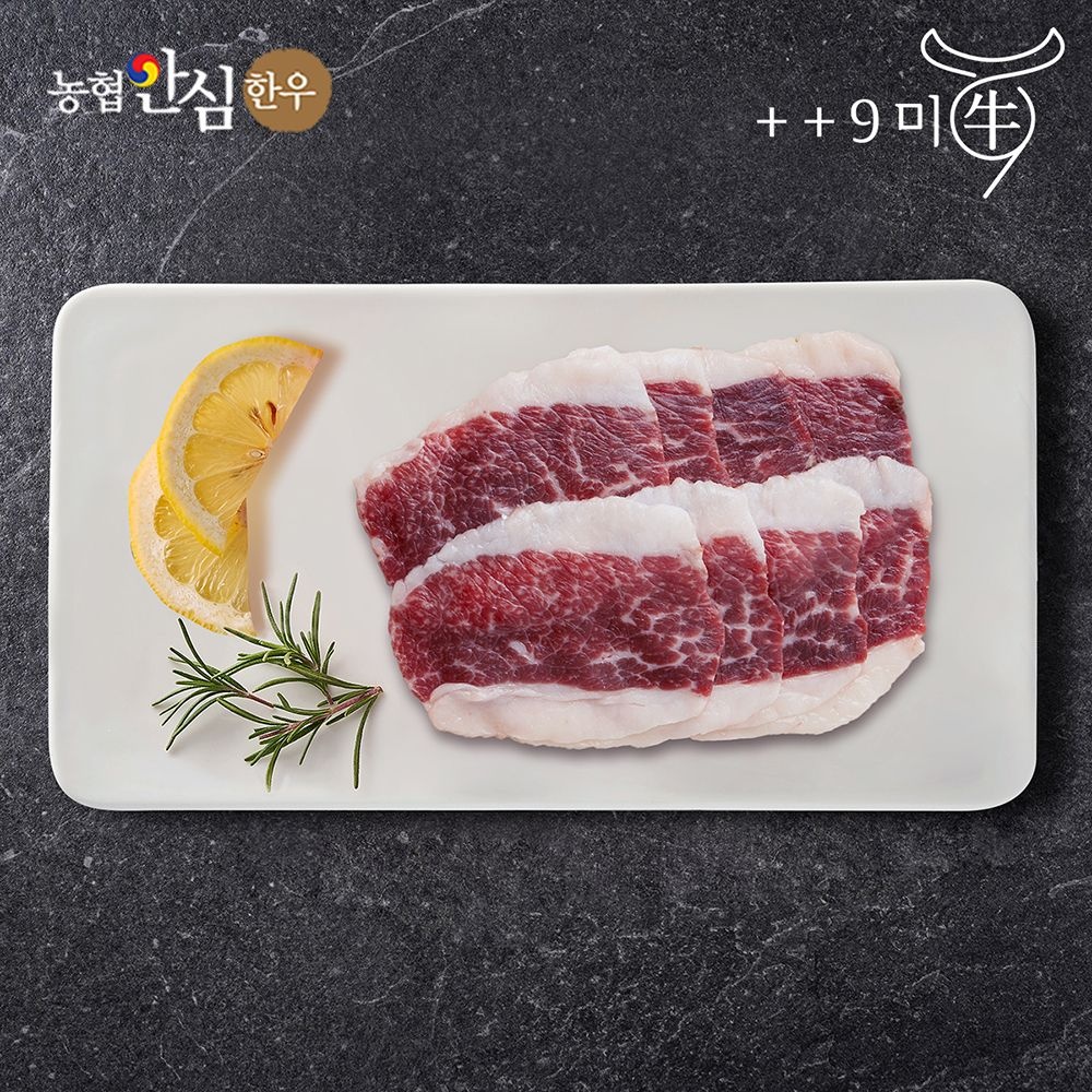[구미우] 1++9등급 한우 차돌박이 500g+500g 냉동