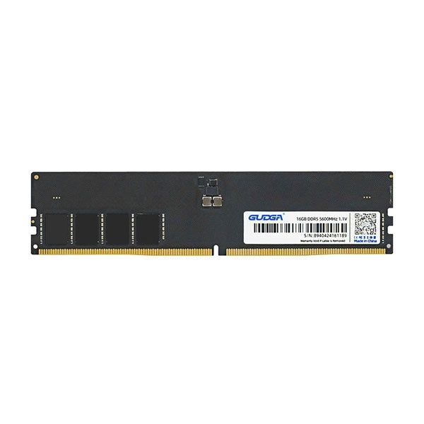 GUDGA DDR5 PC5-44800 CL46 8GB 5600 4169082